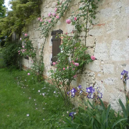 De Mandarou * Castelsagrat