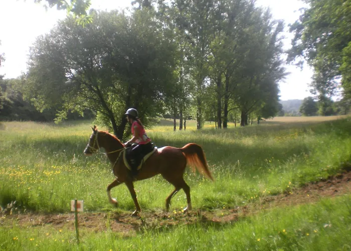 De Mandarou Castelsagrat