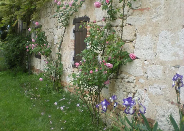 De Mandarou * Castelsagrat